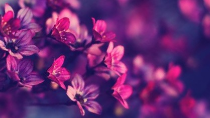 Picsart banner for @insides