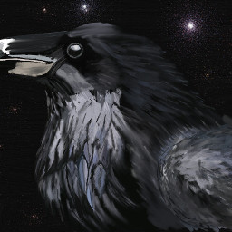 digitalart digitalpainting raven corelpainter